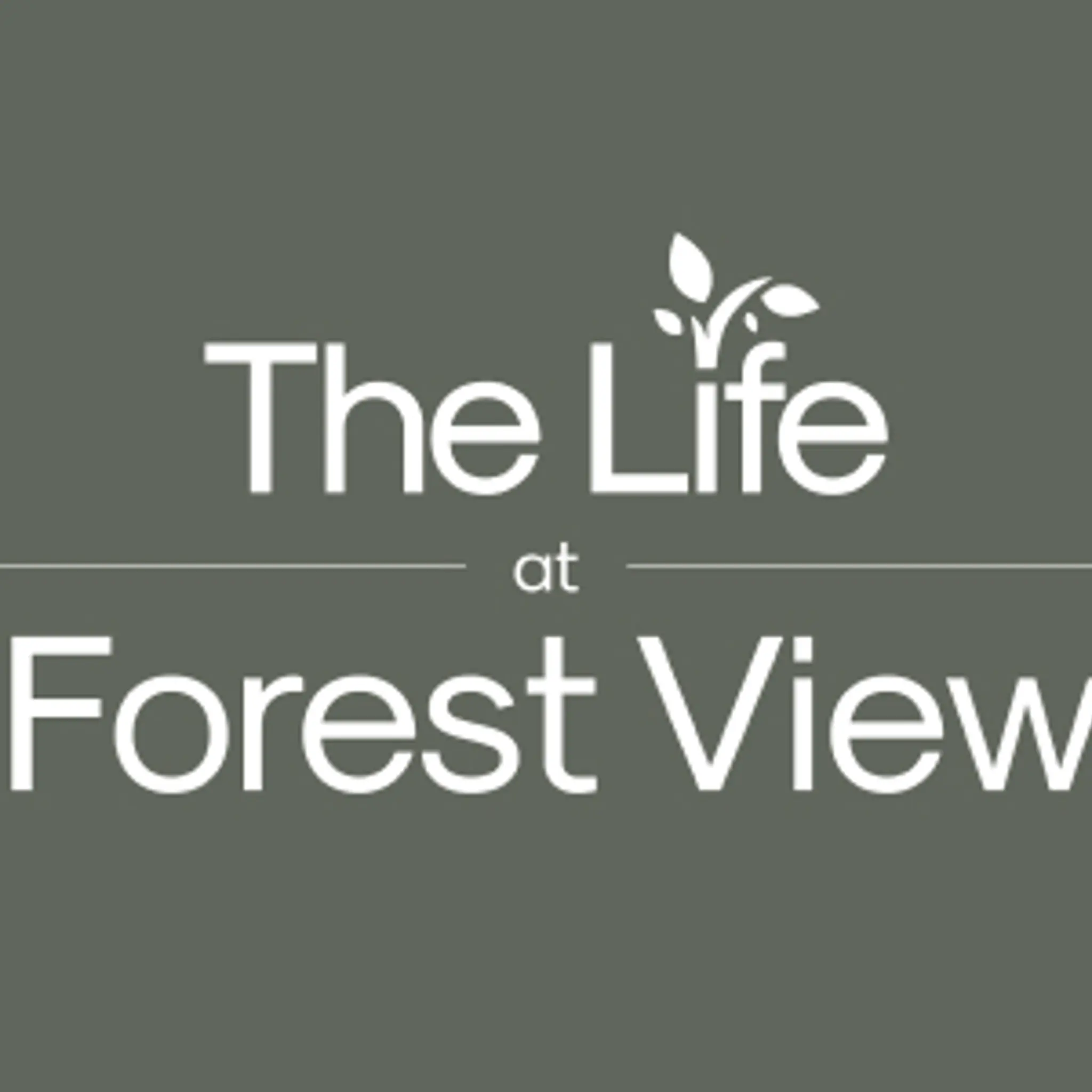 Residents Life at Forrest View Splash